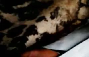 XXX Pria itu indo sex terbaru membuka musim panas