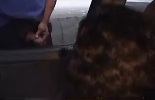 XXX Meniduri pantat berbulu istrinya bokep indo tahun baru di stoking