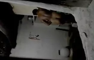 XXX Secara aktif bokeb indo baru mencari
