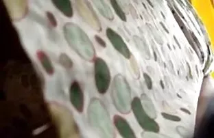 XXX Susan bokep baru indo viral